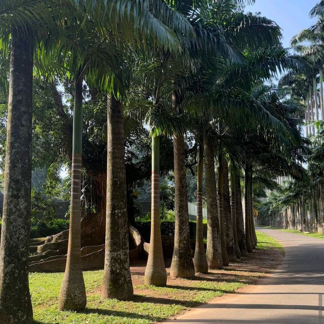 Royal Botanical Gardens (Peradeniya)