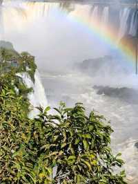Iguazu Falls – “Where Water Rules the Jungle”