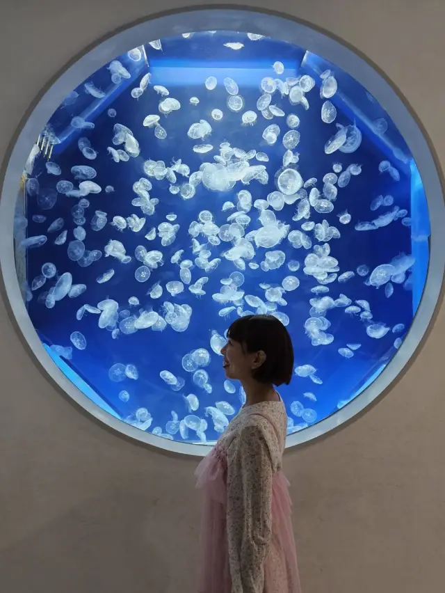 桃園Xpark藍色浪漫之旅：一次沉浸海底世界的夢幻體驗