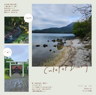 다카노야산 - 고요한 푸른 들판