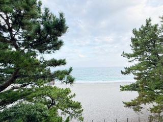 Katsurahama Beach in Kochi: Experience the Majesty of the Pacific Ocean and the Sound of Waves