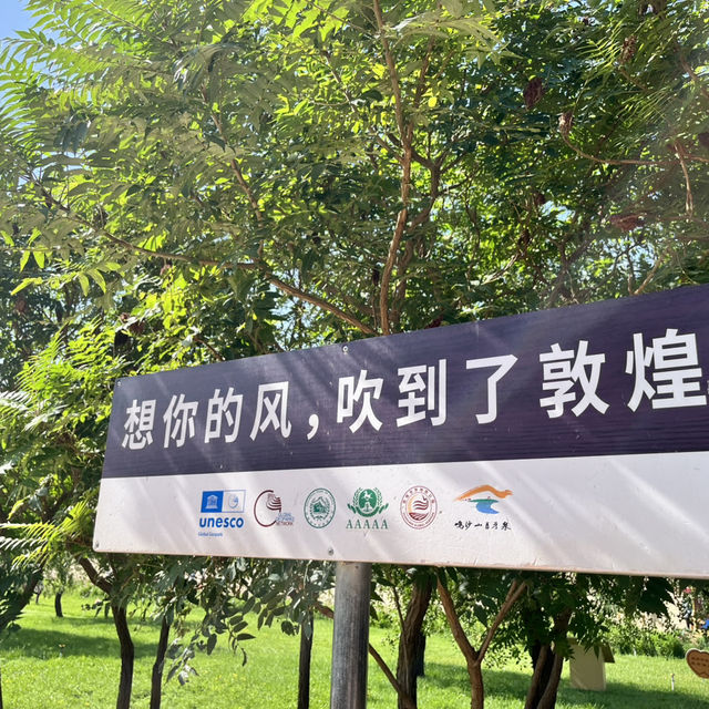  A Perfect Day in Dunhuang — Desert, Art, and Night Vibes