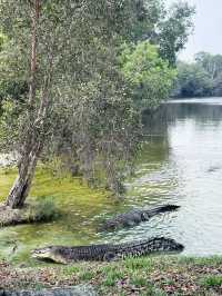 “Explore the Wonders of Paya Wetlands Sepang”