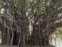 衛武營國家藝術文化中心