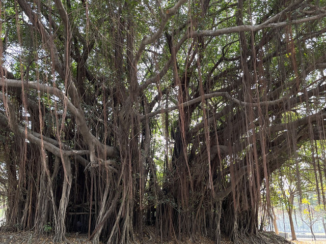 衛武營國家藝術文化中心