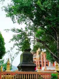 วัดกลาง วังเวียง