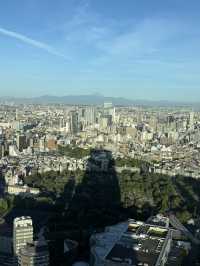 Tokyo Is Unlike Anywhere I’ve Ever Been.