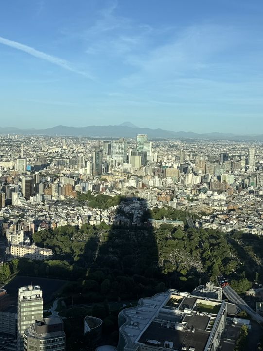 Tokyo Is Unlike Anywhere I’ve Ever Been.