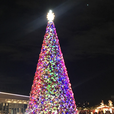 ✨煌めく聖夜へようこそ — 東京スカイツリータウン＆すみだ水族館