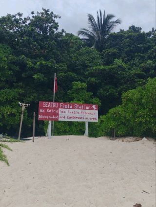 Chagar Hutang, Terengganu – A Hidden Turtle Paradise 🐢✨