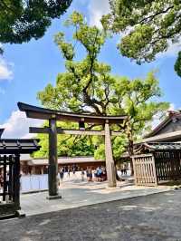 東京明治公園
