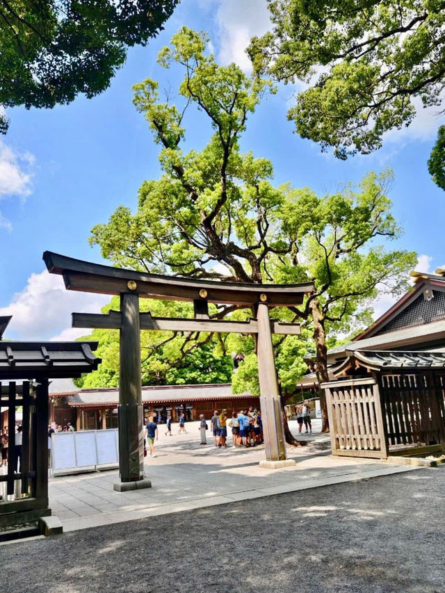 東京明治公園