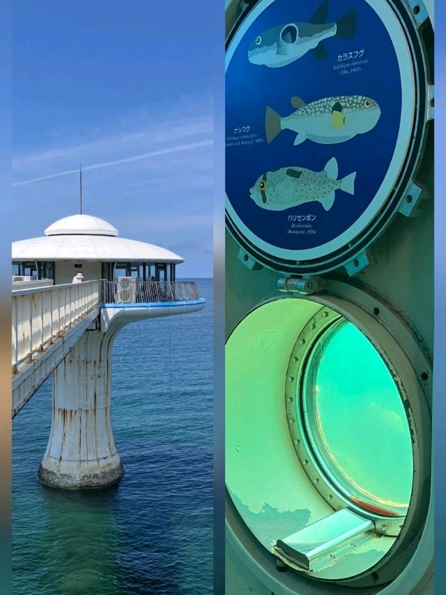 【和歌山】白浜海中展望塔 コーラルプリンセス 【和歌山】白浜海中展望塔 コーラルプリンセス