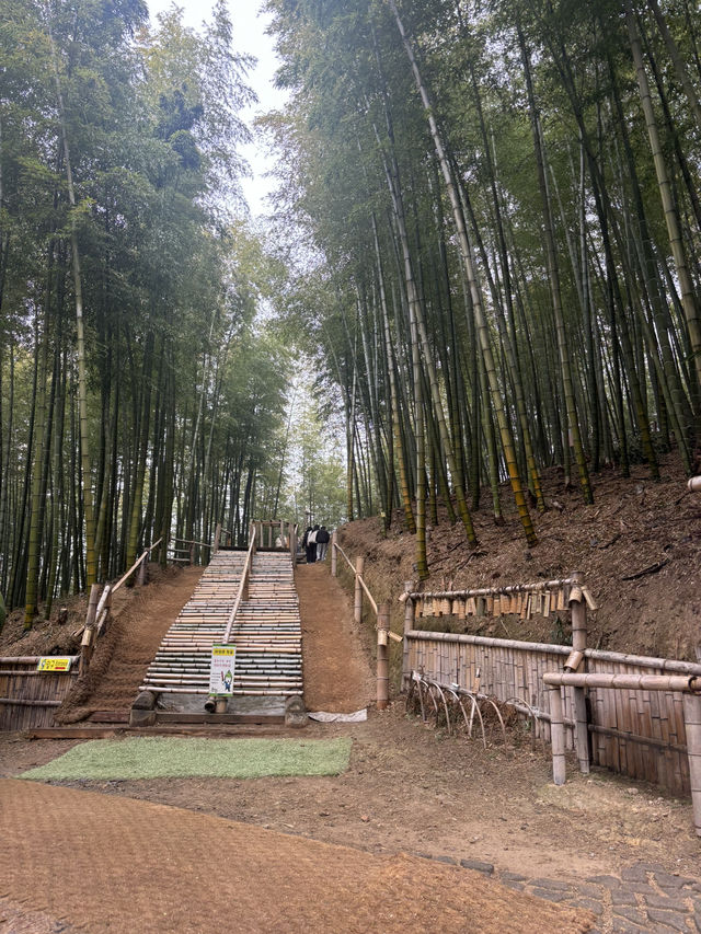 거제맹종죽테마파크