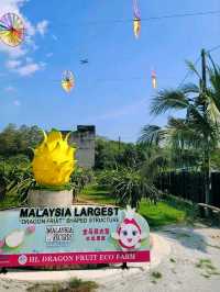 My Sepang Itinerary : A Sweet Discoveries at HL Dragon Fruit Eco Farm.