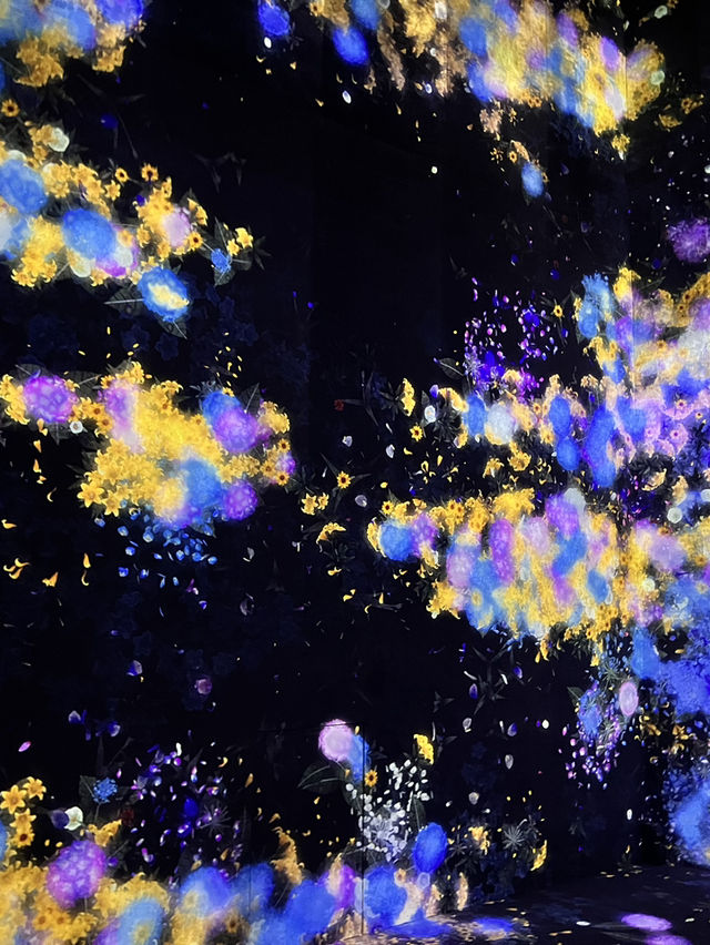 도쿄 아자부다이 힐즈 ✨ teamLab Borderless + Limelight 🍽️