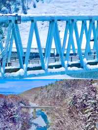 겨울 삿포로, 흰수염폭포의 눈 내린 풍경 ❄️🏔️