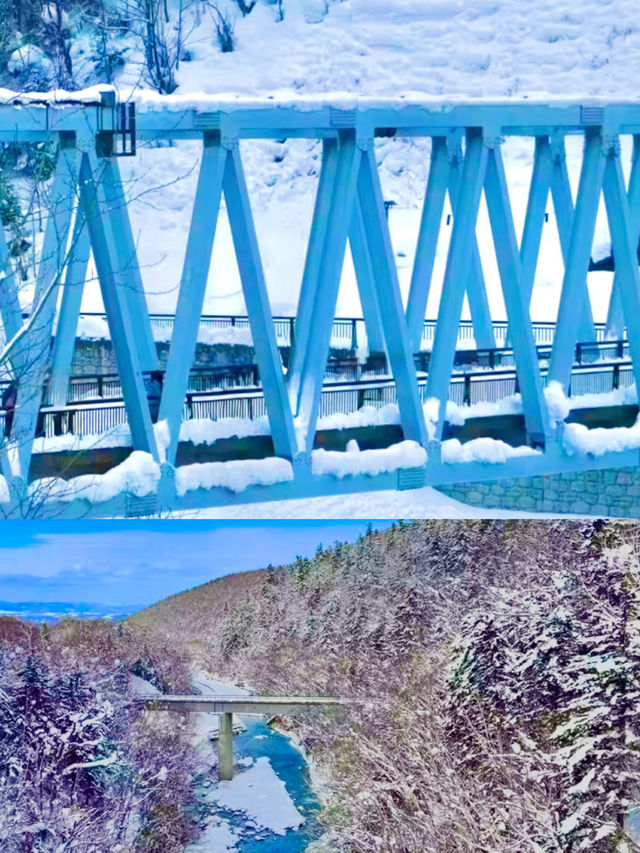 겨울 삿포로, 흰수염폭포의 눈 내린 풍경 ❄️🏔️