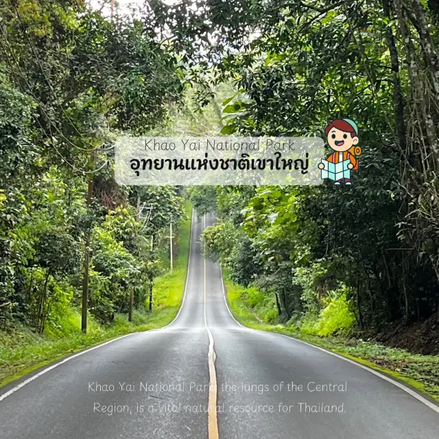 เที่ยวอุนยานแห่งชาติ เขาใหญ่