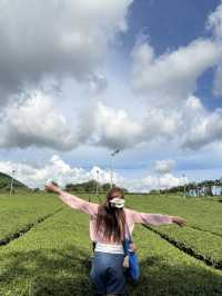 Sipping Serenity at Osulloc Jeju 🍵✨