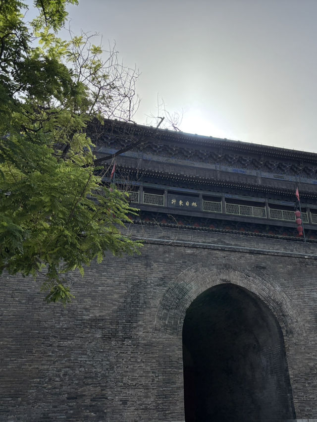 Xi’an comprehensive trip Xi’an comprehensive trip