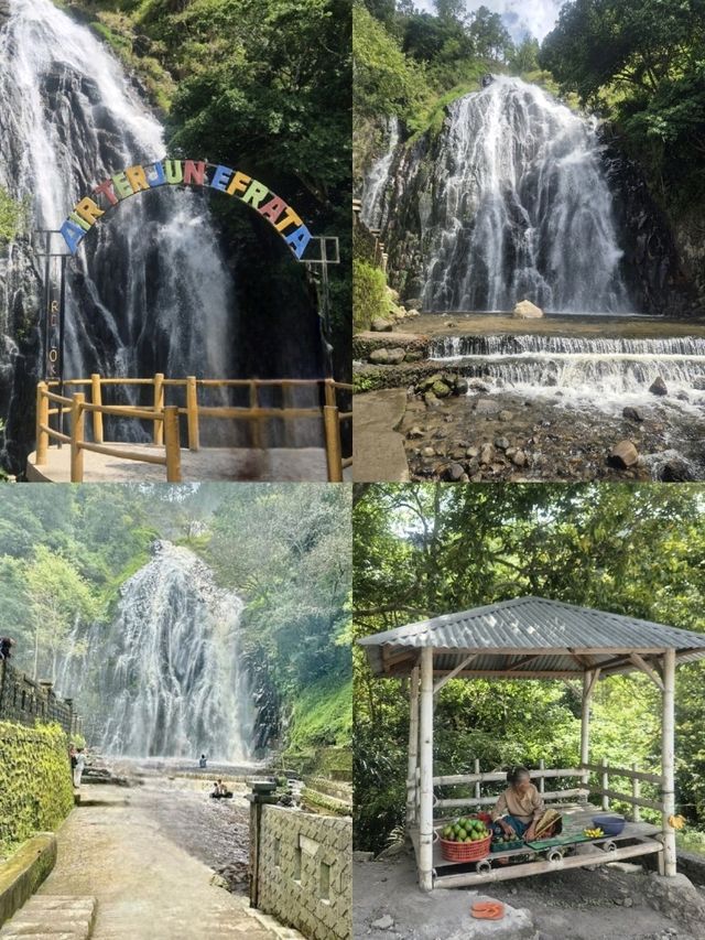 棉兰岛
