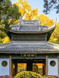 Wuxi and Taihu