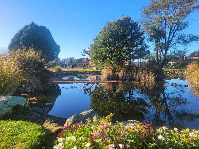 Quiet morning walk along Lake Rotorua boardwalk and Government Gardens