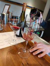 紐西蘭🇳🇿真是 CHILL