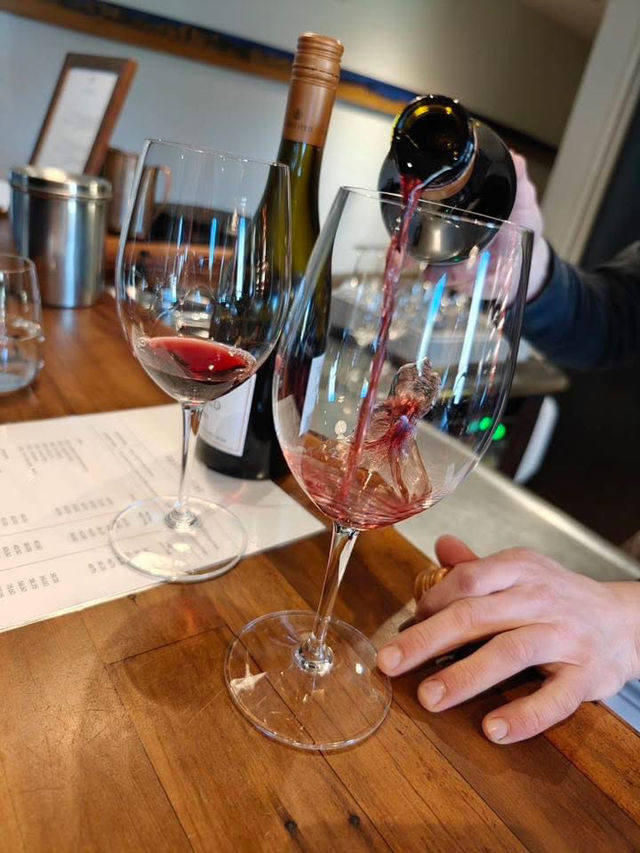 紐西蘭🇳🇿真是 CHILL 紐西蘭🇳🇿真是 CHILL