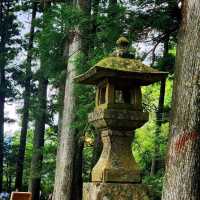 How to Nail Your Hakone Shrine Visit 🎴✨