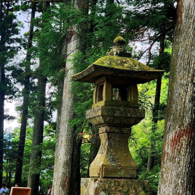 How to Nail Your Hakone Shrine Visit 🎴✨
