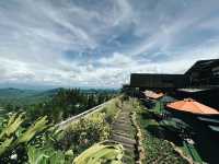 Pino Latte Hotel & Café