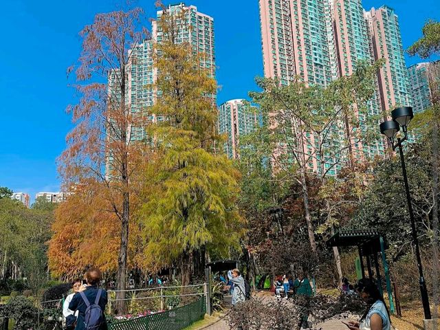 Tsing Yi Park Tsing Yi Park