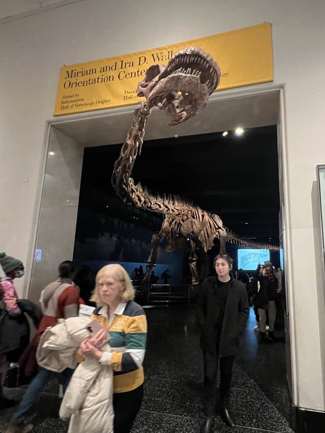 ［紐約旅行］紐約自然歷史科學博物館American Museum of Natural History🦴晚上會活起來的博物館