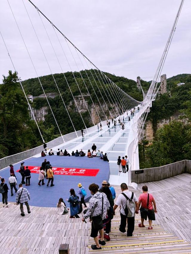 My Heart-Racing Stroll Across Zhangjiajie’s Glass Bridge My Heart-Racing Stroll Across Zhangjiajie’s Glass Bridge