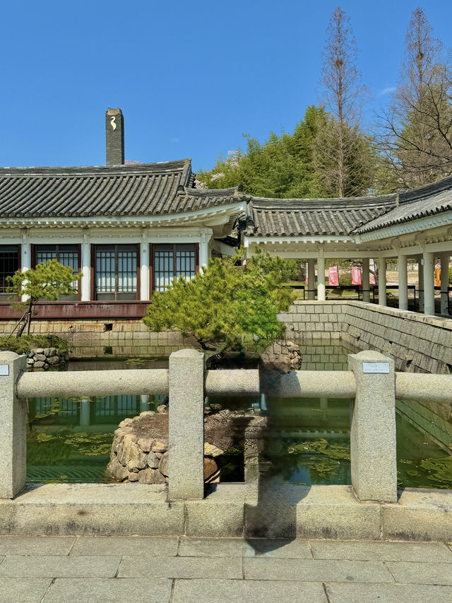 🌸⛩️ 경상북도 자연여행 – 경주 & 김천 힐링코스
