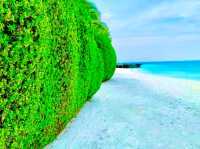 Conrad Maldives Rangali Island – Iconic Overwater Experience