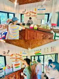 🌟ชมความน่ารักของ”ฝูงลีเมอร์หางแหวน“ แห่งแรกในไทย