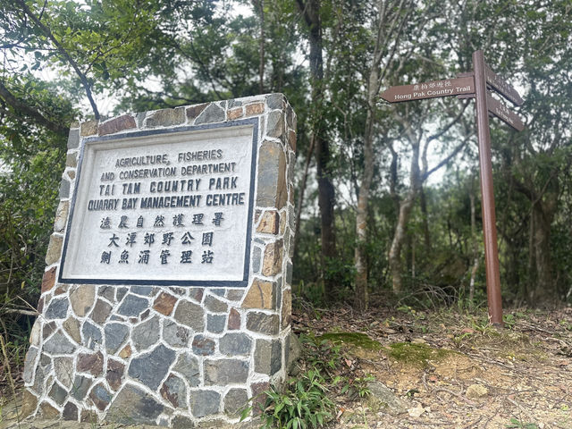 🏞️ 太古後花園： 柏架山道自然徑的綠色旅程