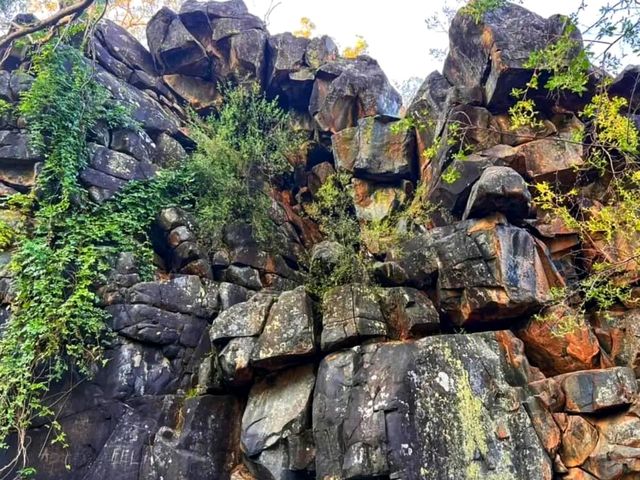 🌿 Nature’s Hidden Gem – Explore the Serenity of Roley Pool Reserve