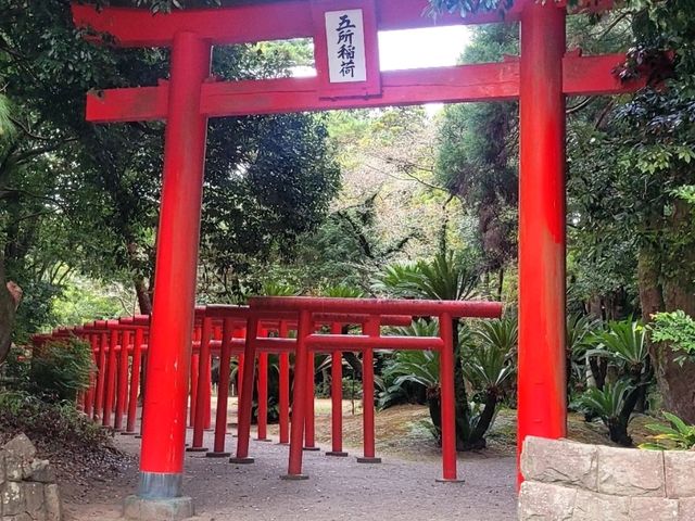 解鎖宮崎！20250919-22南九州宮崎四天三夜自由行