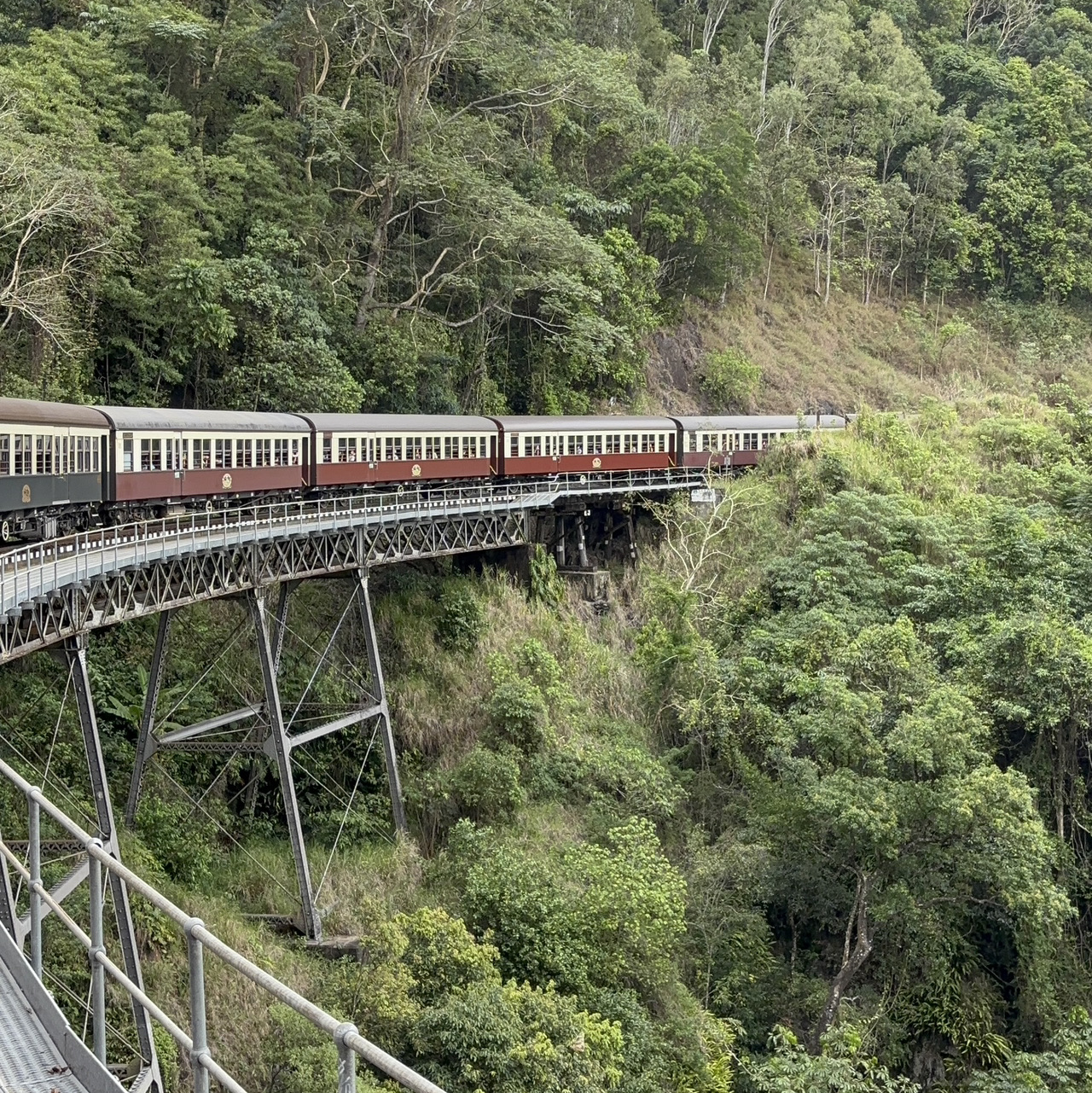 [Cairns🇦🇺] Efficiently visit tourist spots in 2 days!
