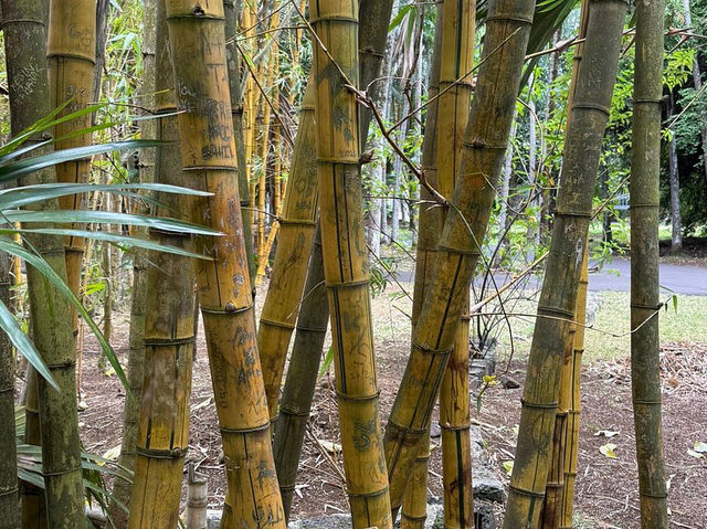 Sir Seewoosagur Ramgoolam Botanical Garden