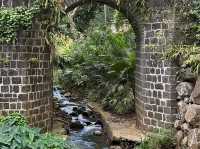Sir Seewoosagur Ramgoolam Botanical Garden