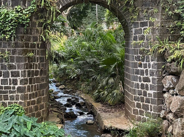 Sir Seewoosagur Ramgoolam Botanical Garden