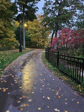 เส้นทางเชโดกเทรล (Chedoke Trail) ซึ่งเป็นหนึ่งในเส้นทางเดินป่าฤดูใบไม้ร่วงที่ได้รับความนิยมมากที่สุดของเมืองแฮมิลตัน เริ่มต้นจากถนน Scenic Drive และมีความยาวประมาณ 2.7 กิโลเมตร เส้นทางคดเคี้ยวผ่านป่าไม้และลำธาร มอบทัศนียภาพอันน่าทึ่งของใบเมเปิลสีสันสดใสตลอดเส้นทาง เมื่อมองจากระยะไกล อาคารบ้านเรือนในย่านใจกลางเมืองแฮมิลตันตั้งตระหง่านอยู่ท่ามกลางผืนใบไม้สีทองอร่าม ให้ความรู้สึกราวกับได้เชื่อมโยงธรรมชาติเข้ากับเมือง ทิวทัศน์ตลอดเส้นทางนั้นกว้างไกลสุดลูกหูลูกตา และในวันที่อากาศแจ่มใส ท้องฟ้าสีครามและยอดไม้ที่ลดหลั่นกันเป็นชั้นๆ จะสร้างฉากหลังที่สมบูรณ์แบบสำหรับการถ่ายรูป

ต้นไม้ตลอดเส้นทางได้เปลี่ยนโฉมเป็นสีสันฤดูใบไม้ร่วงอย่างงดงาม ด้วยสีสันสดใสหลายชั้น การเดินท่ามกลางพรมใบไม้ร่วง ฟังเสียงลมและเสียงฝีเท้าที่ก้องกังวาน ช่างเป็นประสบการณ์ที่ผ่อนคลายอย่างแท้จริง คุณมักจะพบเห็นชาวบ้านวิ่งออกกำลังกายหรือเดินเล่นไปตามเส้นทาง รวมถึงครอบครัวที่พาสัตว์เลี้ยงมาด้วย สร้างบรรยากาศที่ผ่อนคลายและเป็นกันเอง

เส้นทางเชโดกเรเดียลเทรล (Chedoke Radial Trail) อยู่ห่างจากตัวเมืองแฮมิลตันโดยรถยนต์ประมาณ 10 นาที หากเดินทางด้วยระบบขนส่งสาธารณะ ให้ขึ้นรถบัสไปยังถนน Dundurn St S ซึ่งสามารถเดินไปยังทางเข้าเส้นทางได้อย่างสะดวก สำหรับผู้ที่ขับรถมา มีที่จอดรถริมถนนบริเวณใกล้เคียง และมีที่จอดรถบางส่วนใกล้กับทางเข้าเส้นทาง

