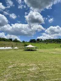 Art, Food, and Nature in Perfect Harmony