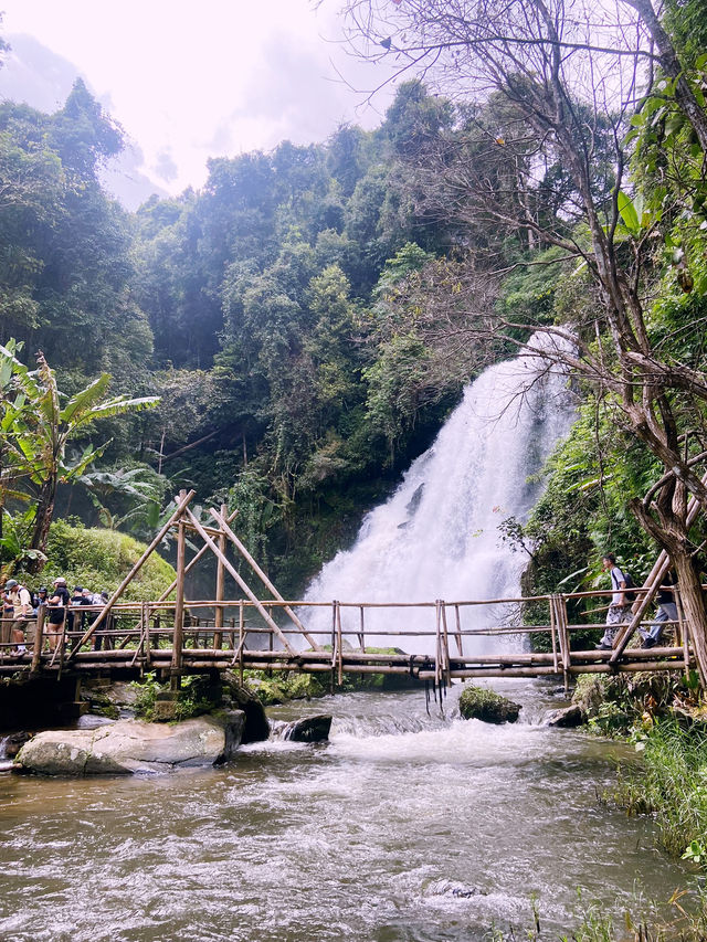 เส้นทางศึกษาธรรมชาติผาดอกเสี้ยว เส้นทางศึกษาธรรมชาติผาดอกเสี้ยว