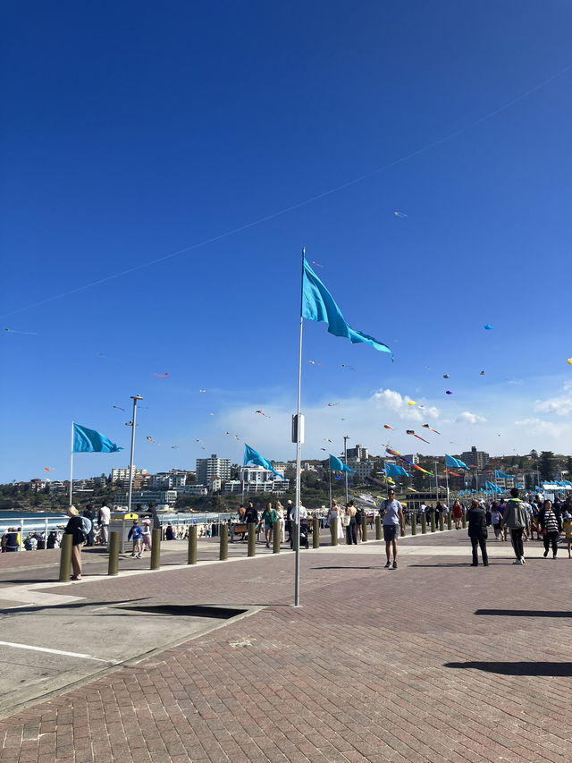 【オーストラリア・シドニー】海風と光に包まれる「マンリービーチ散歩」🚶♀️🌊☀️ 【オーストラリア・シドニー】海風と光に包まれる「マンリービーチ散歩」🚶♀️🌊☀️